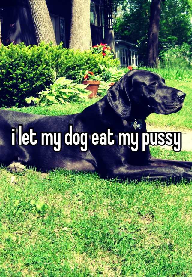 I Let My Dog Eat My Pussy